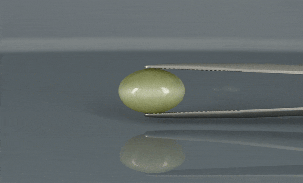 Cat's Eye - 6.3ct - KCE211141