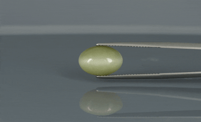 Cat's Eye - 6.3ct - KCE211141