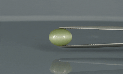 Cat's Eye - 5.8ct - KCE211143