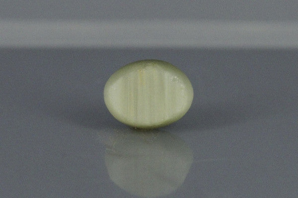 Cat's Eye - 4.7ct - KCE211144