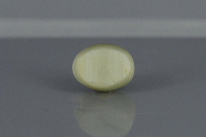 Cat's Eye - 5.4ct - KCE211148