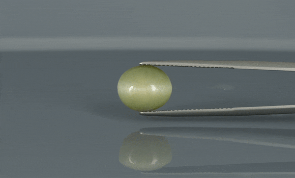 Cat's Eye - 6.1ct - KCE211150
