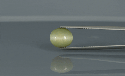 Cat's Eye - 6.1ct - KCE211150