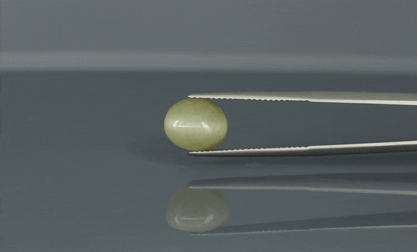 Cat's Eye - 3.9ct - KCE211151