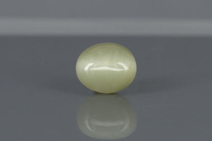 Cat's Eye - 3.9ct - KCE211151