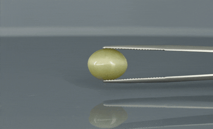 Cat's Eye - 6.2ct - KCE211306