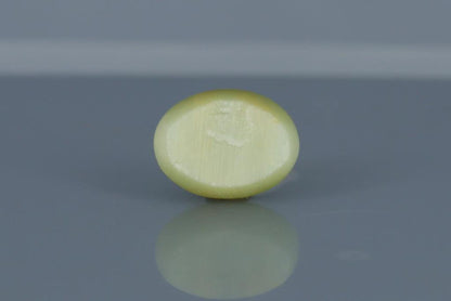 Cat's Eye - 7.55ct - KCE211307