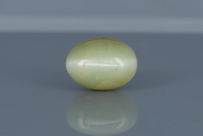 Cat's Eye - 7.5ct - KCE211308