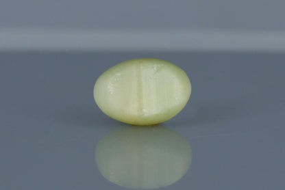 Cat's Eye - 5.5ct - KCE211309