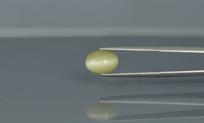 Cat's Eye - 3.1ct - KCE211310