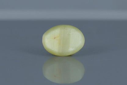 Cat's Eye - 3.1ct - KCE211310