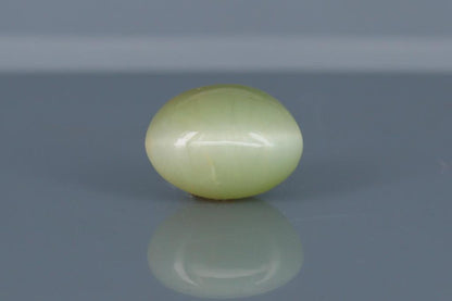 Cat's Eye - 6.35ct - KCE211311