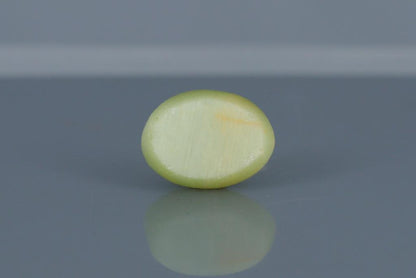 Cat's Eye - 6.35ct - KCE211311