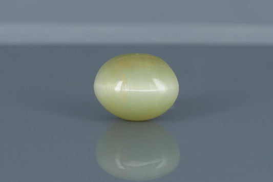 Cat's Eye - 6.8ct - KCE211313