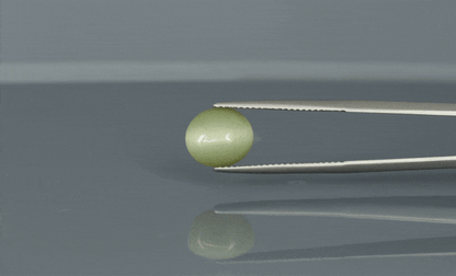 Cat's Eye - 3.8ct - KCE211314
