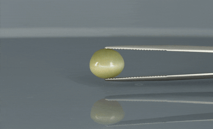 Cat's Eye - 5.3ct - KCE211315