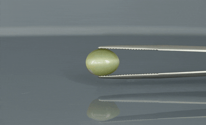 Cat's Eye - 4.7ct - KCE211316