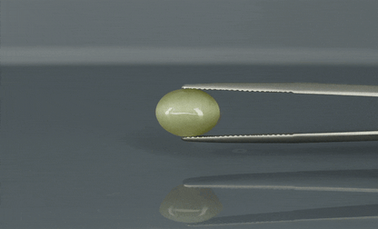 Cat's Eye - 3.8ct - KCE211338
