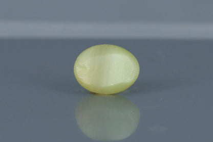 Cat's Eye - 3.8ct - KCE211338