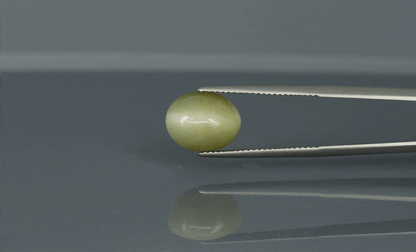 Cat's Eye - 6.9ct - KCE211342