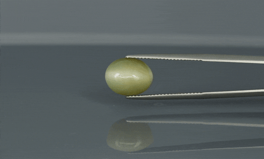 Cat's Eye - 6.9ct - KCE211342