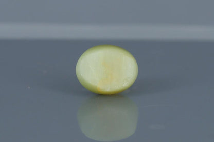 Cat's Eye - 6.9ct - KCE211342