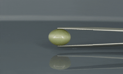 Cat's Eye - 6.4ct - KCE211344