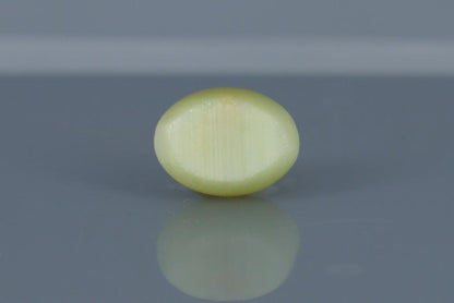 Cat's Eye - 6.4ct - KCE211344