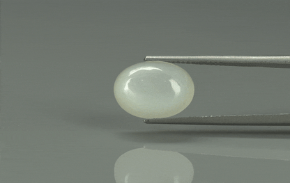 Moon Stone - 5.5ct - KMS312692
