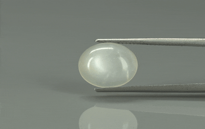 Moon Stone - 4.4ct - KMS312699