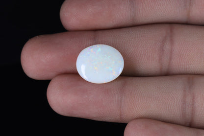 Opal - 6ct - KO113479