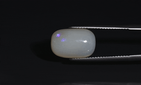 Opal - 5.5ct - KO213521