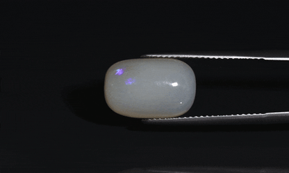Opal - 5.5ct - KO213521
