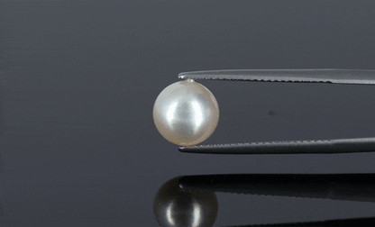 Pearl - 4ct - KP111270