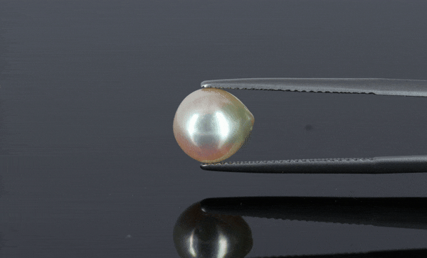 Pearl - 4.15ct - KP111271