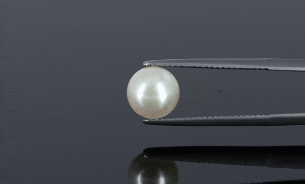 Pearl - 3.8ct - KP111272