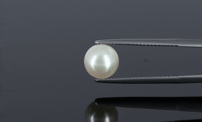 Pearl - 3.8ct - KP111272