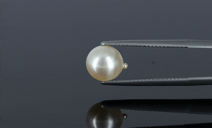Pearl - 3.8ct - KP111273