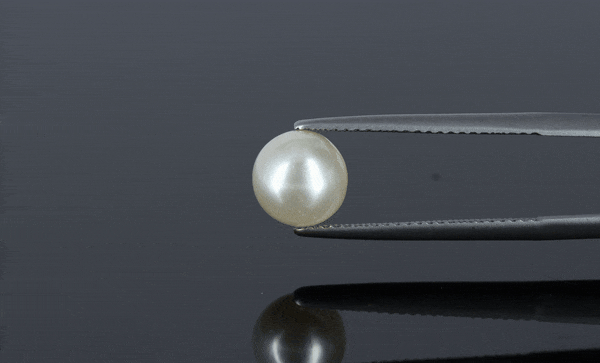 Pearl - 3.15ct - KP111275