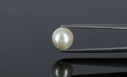 Pearl - 3.85ct - KP111279