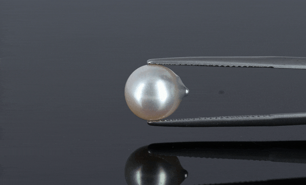 Pearl - 4.75ct - KP111280
