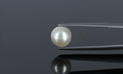 Pearl - 4ct - KP111281