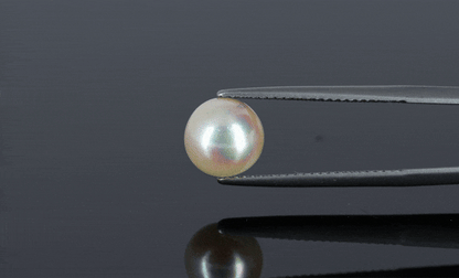 Pearl - 3.95ct - KP111284