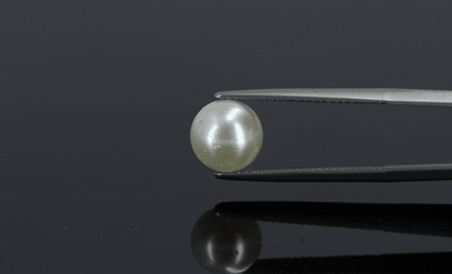 Pearl - 4ct - KP111288
