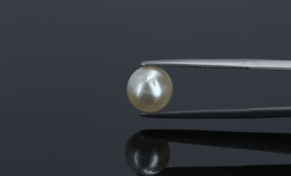 Pearl - 4ct - KP111290