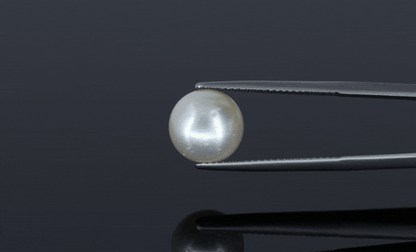 Pearl - 7.15ct - KP111299