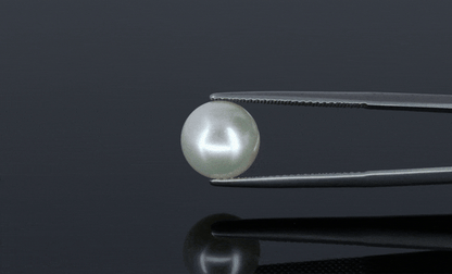 Pearl - 6.6ct - KP111300