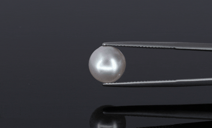 Pearl - 6.6ct - KP111301