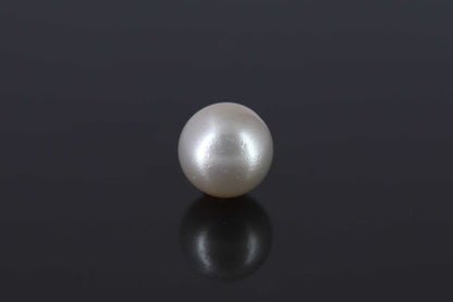 Pearl - 7.8ct - KP111303