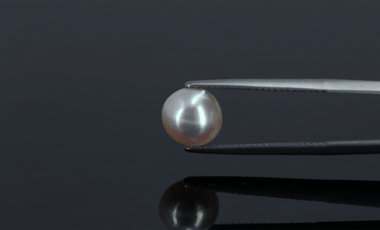 Pearl - 3.95ct - KP111305